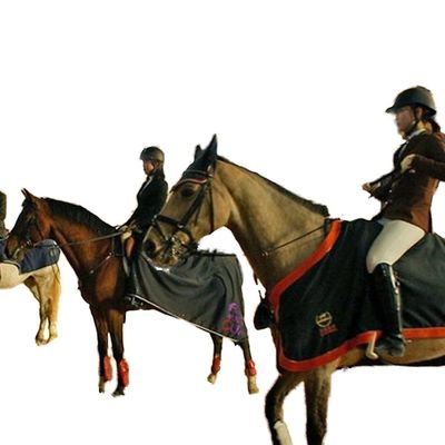 실내 승마 경기장용 경량 철골 구조 건물