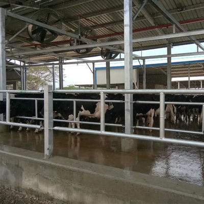 전문 전조 철강 구조 공간 프레임 닭 농장 건물