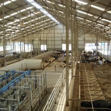 빠른 설치가 가능한 맞춤형 강철 구조 닭장